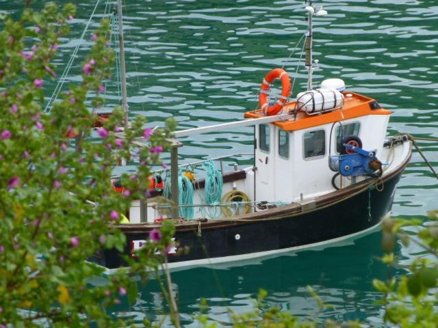 The Gallery Port Isaac Exteriör bild