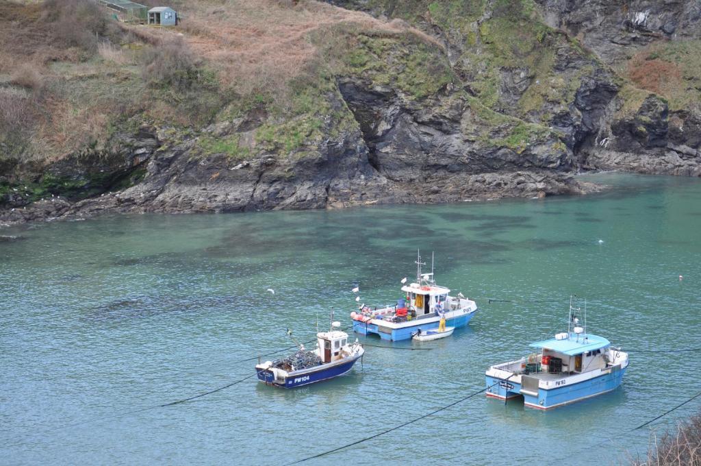 The Gallery Port Isaac Exteriör bild