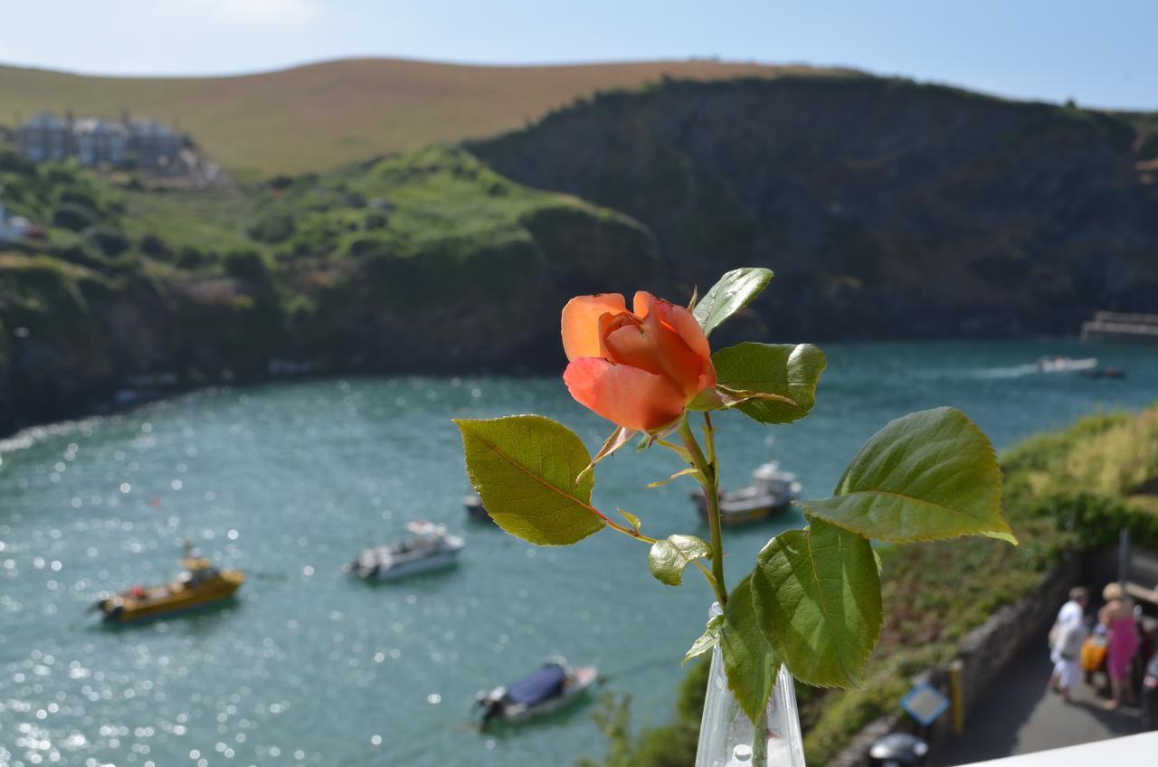 The Gallery Port Isaac Exteriör bild